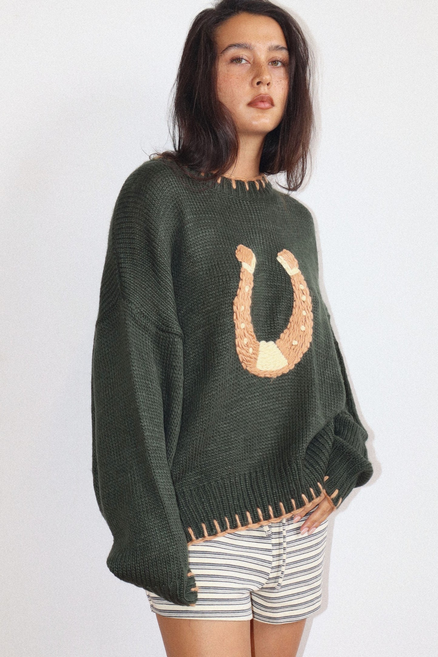 Headed West Knit Sweater