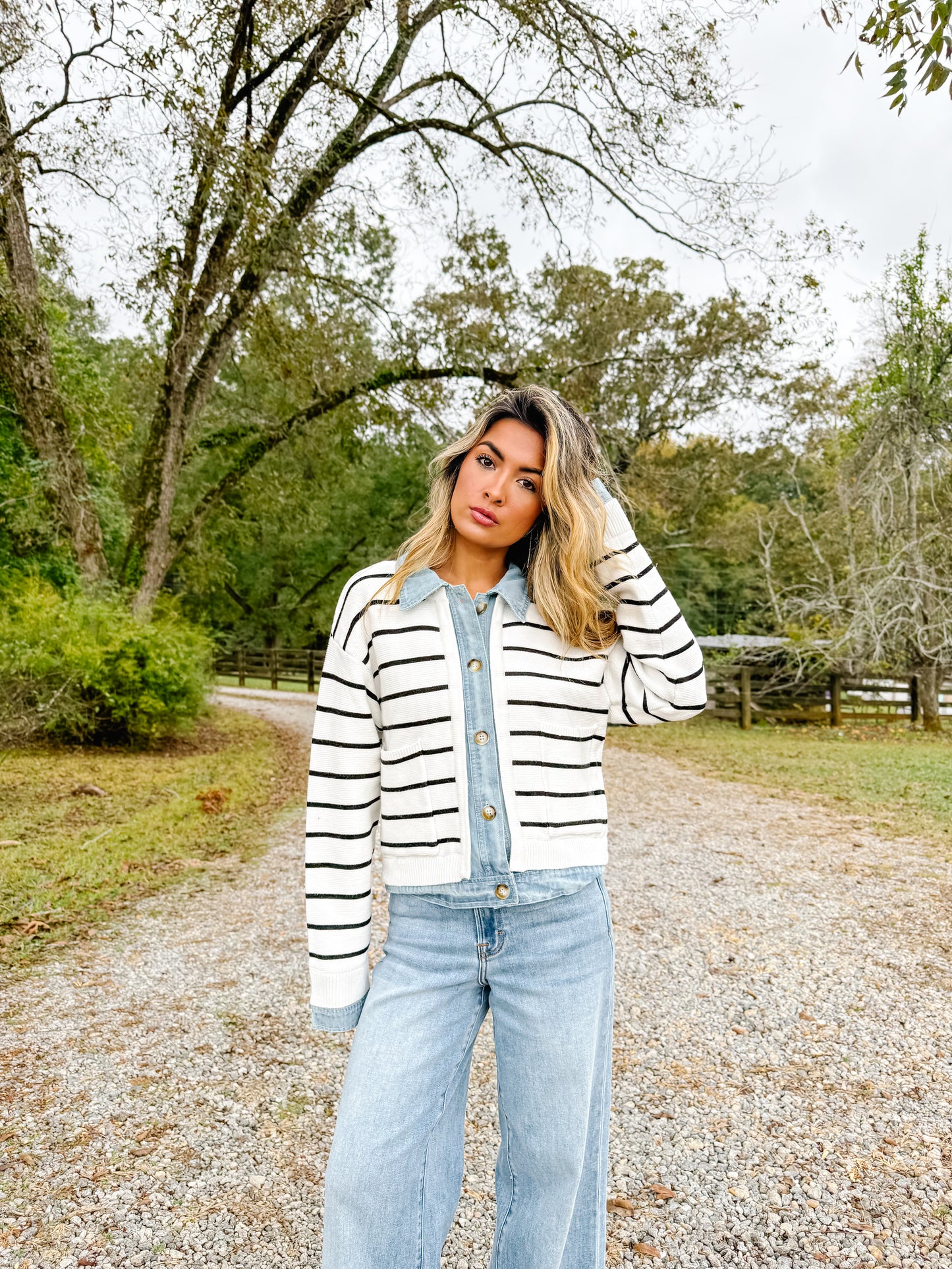 The Camden Stripe Denim Jacket