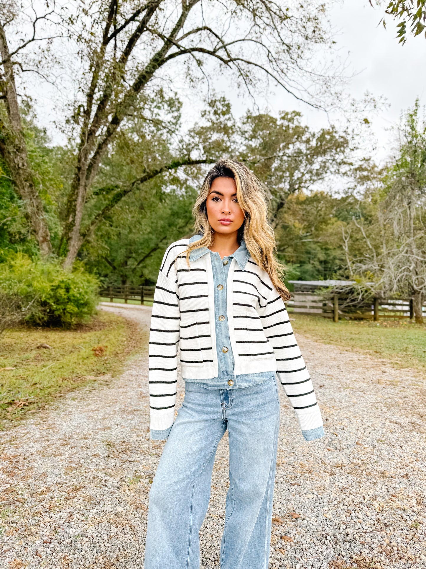 The Camden Stripe Denim Jacket