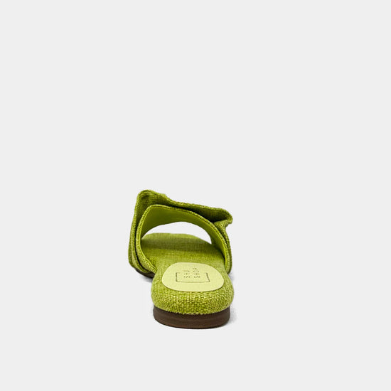 The Daisy Slide - Lime
