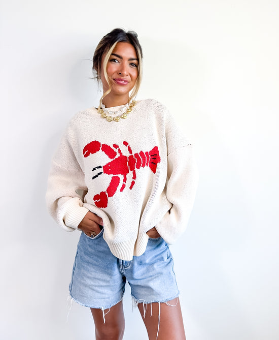 Coastal Catch Knit Sweater