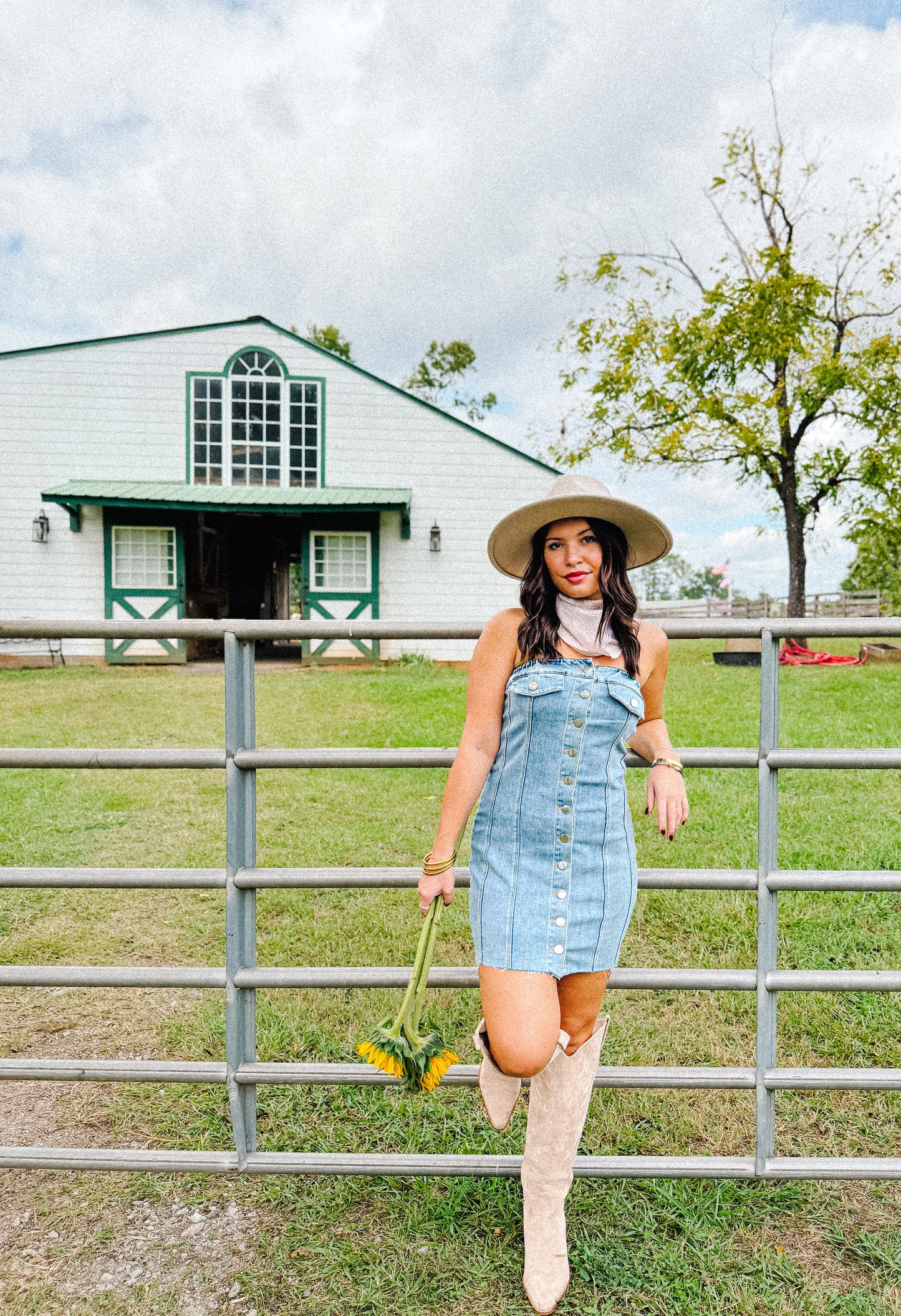 Delilah Denim Mini Dress