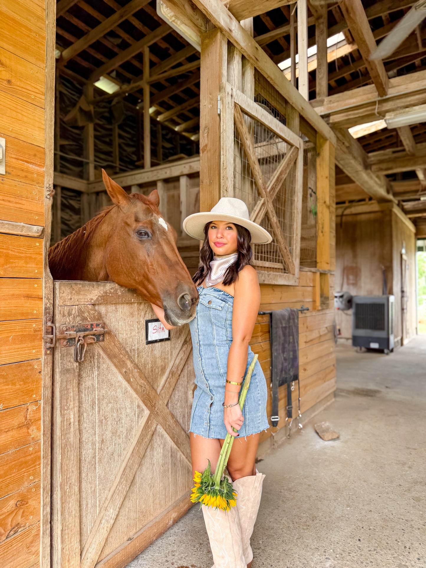 Delilah Denim Mini Dress