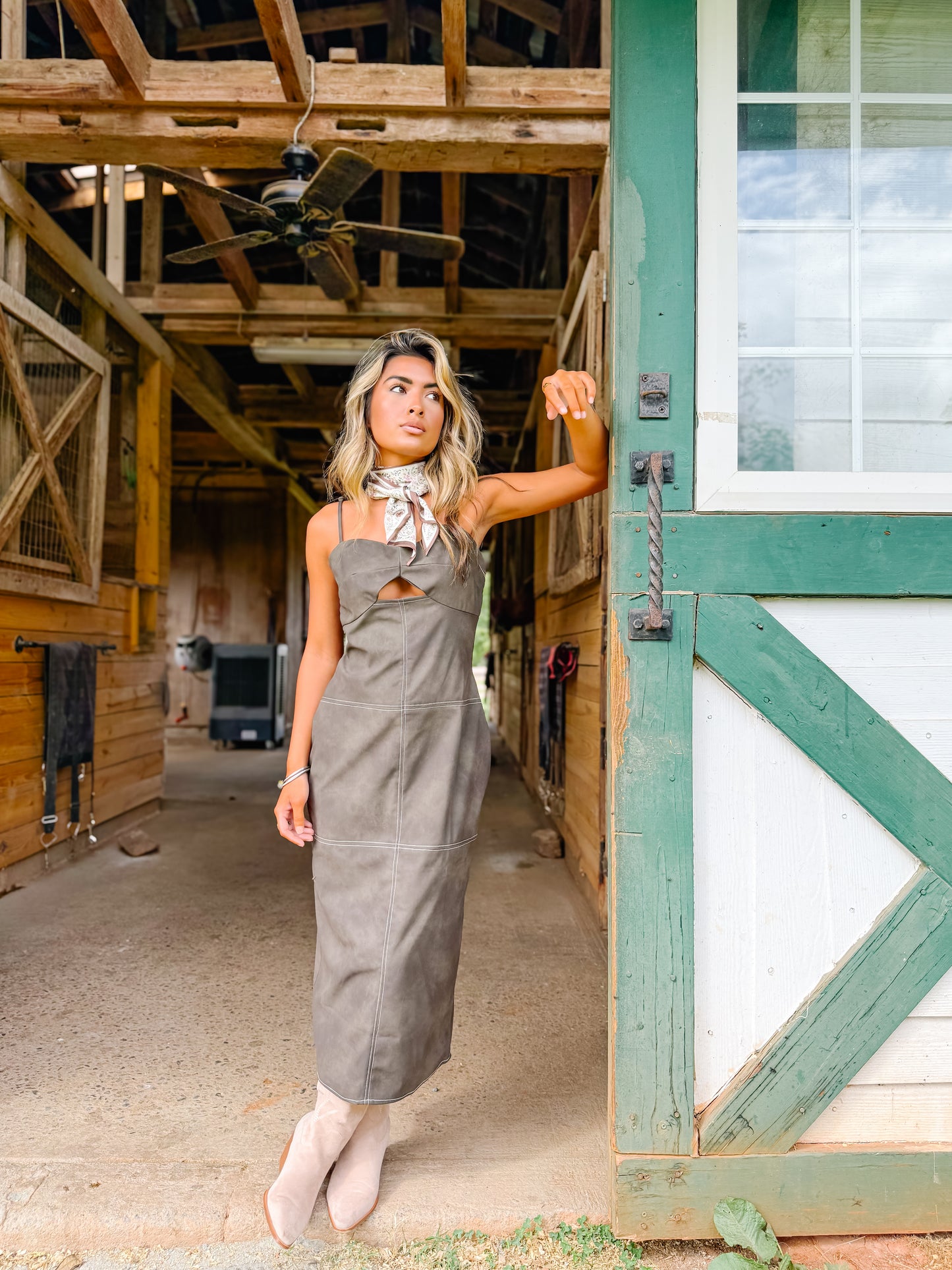 Steel Muse Dress