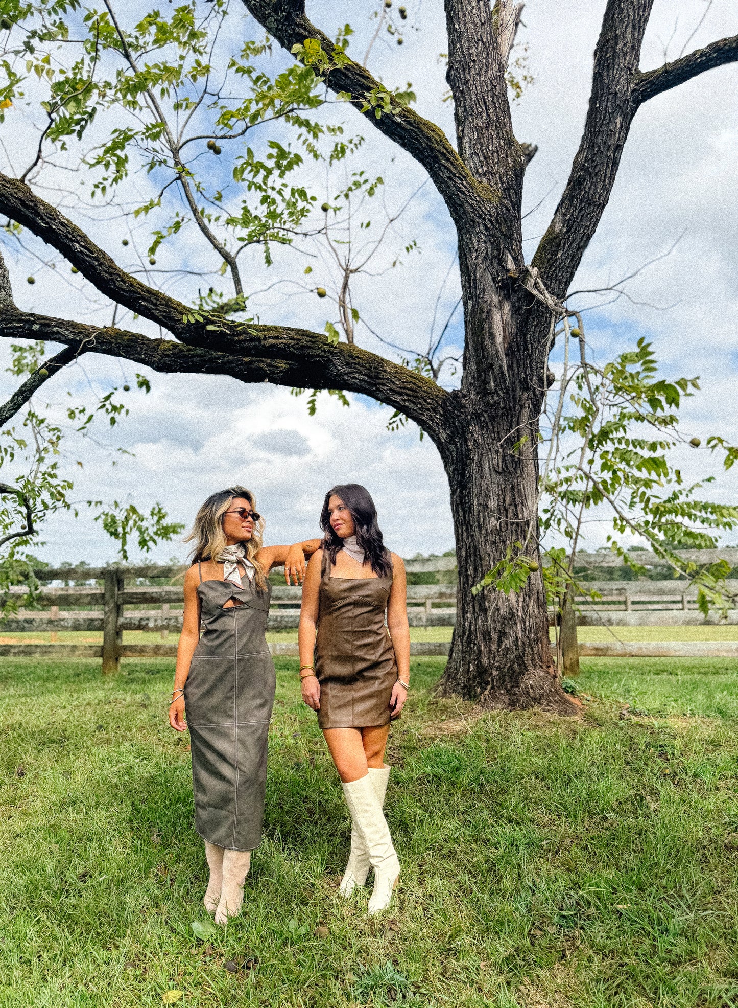 Steel Muse Dress