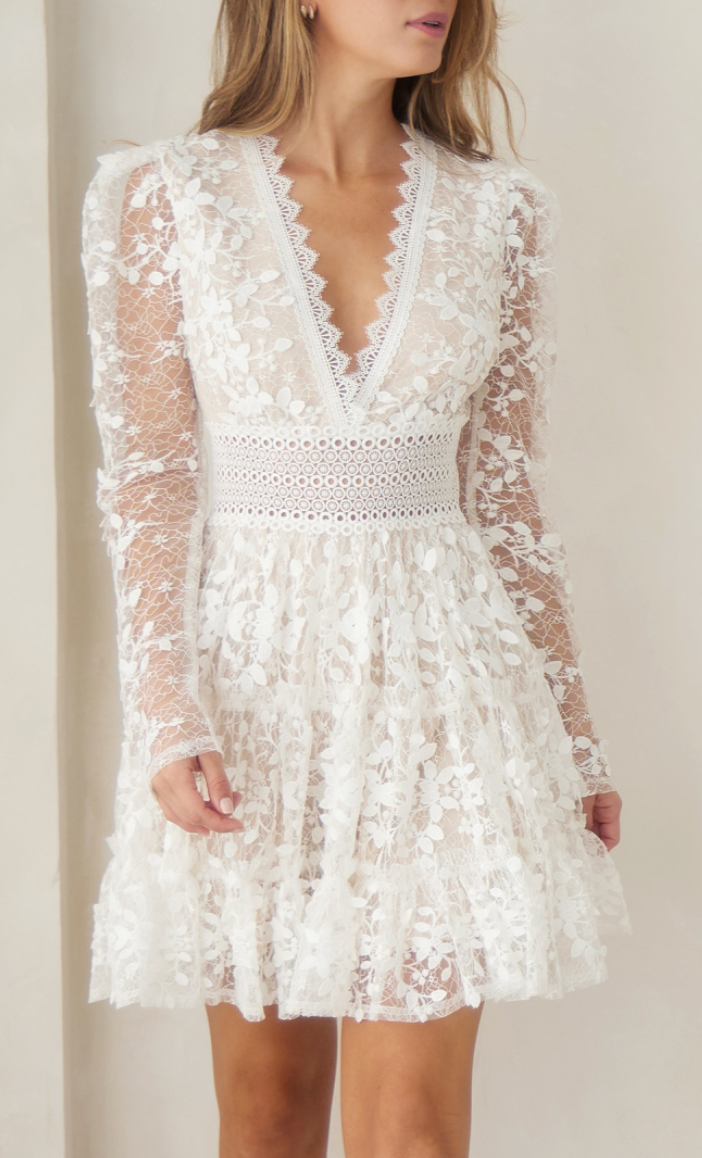 Willow Lace Mini Dress