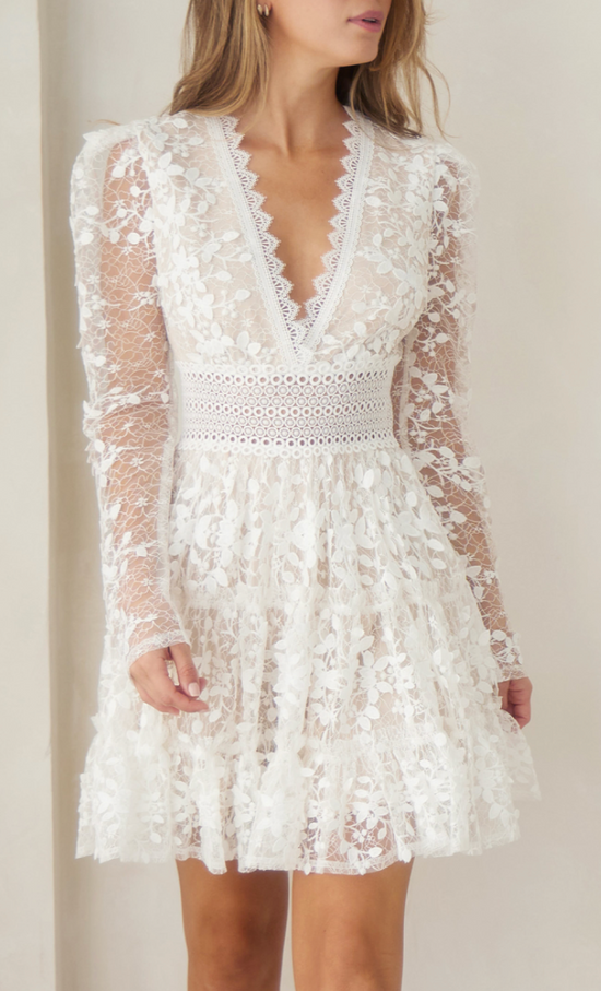 Willow Lace Mini Dress