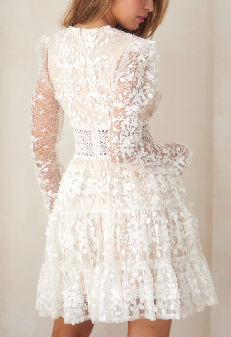 Willow Lace Mini Dress