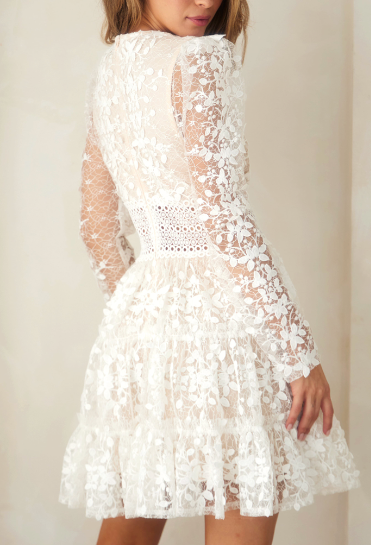 Willow Lace Mini Dress