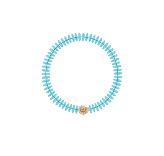 Shell Necklace