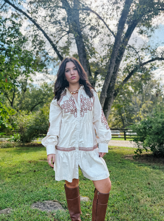 Eloise Embroidered Button Down Mini Dress