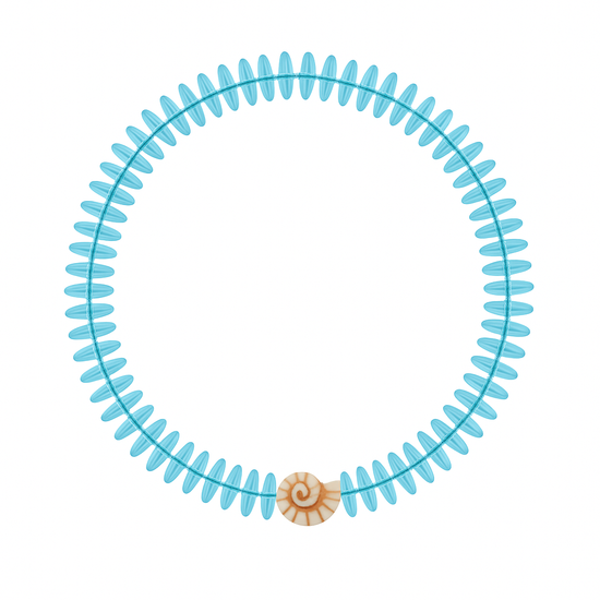 Shell Necklace